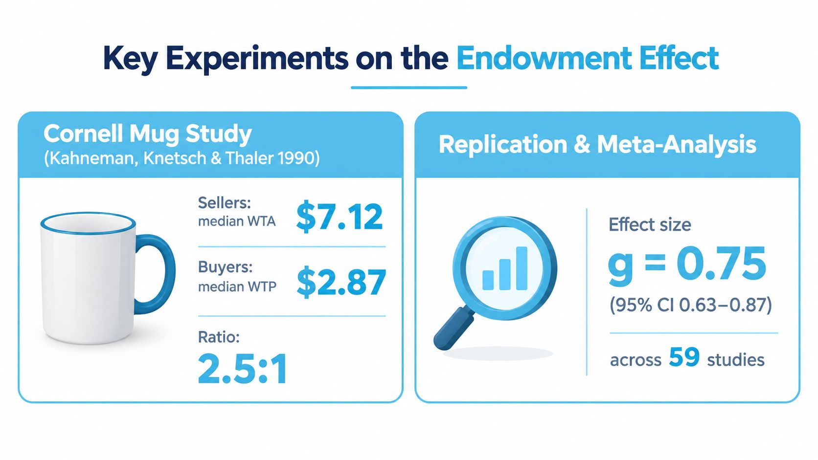 An infographic showing the Cornell Mug Study and meta-analysis results regarding the endowment effect in behavioral economics.