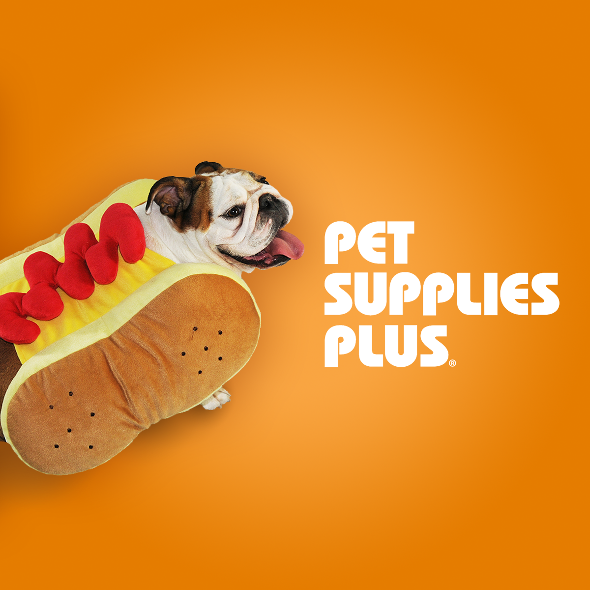 Pet Supplies Plus No Tricks for These Treats!