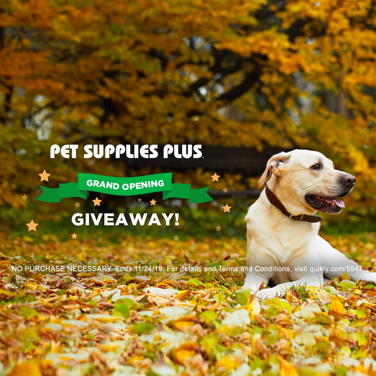 Pet Supplies Plus Wylie Grand Opening Celebration!