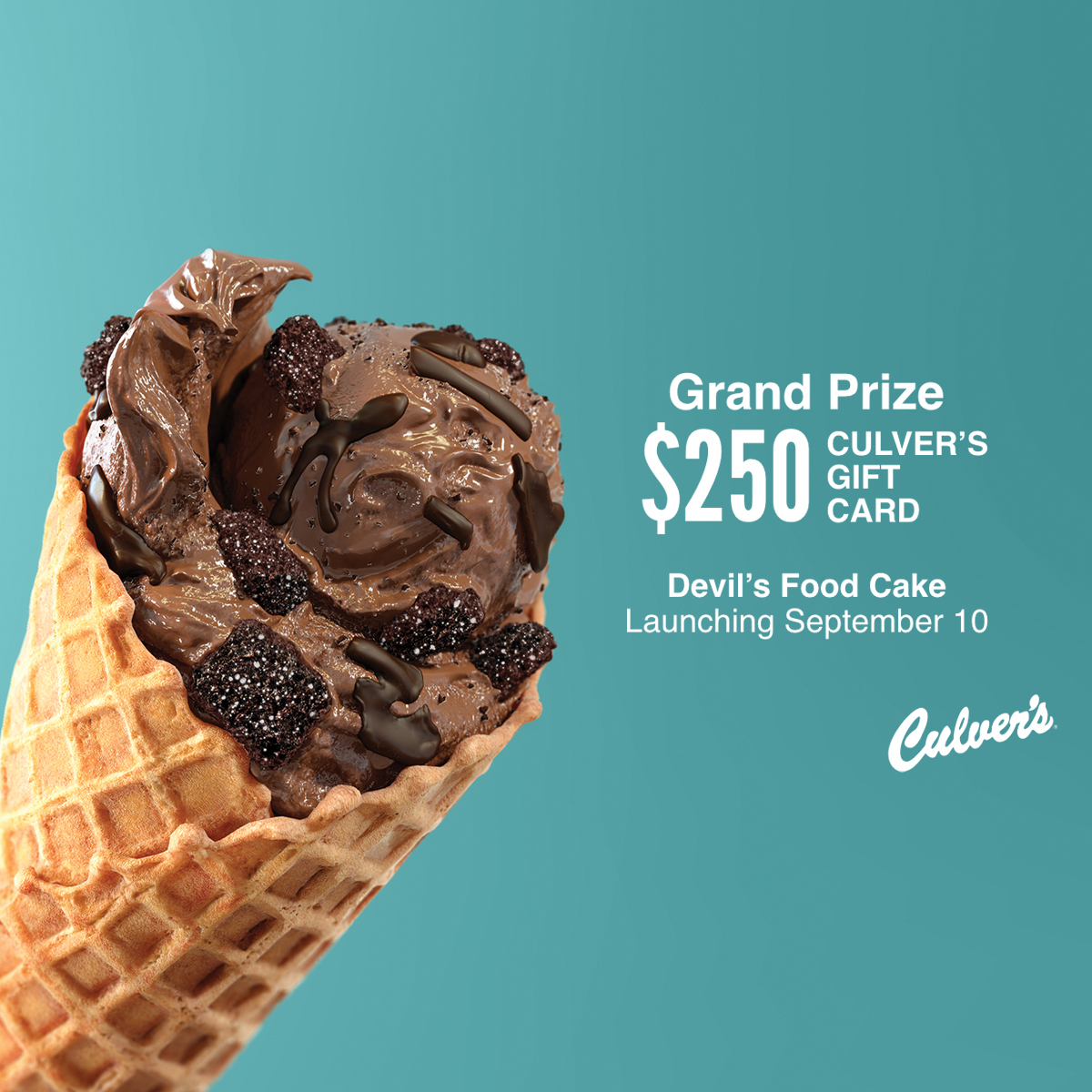 Culver's Culver's Devil's Food Cake