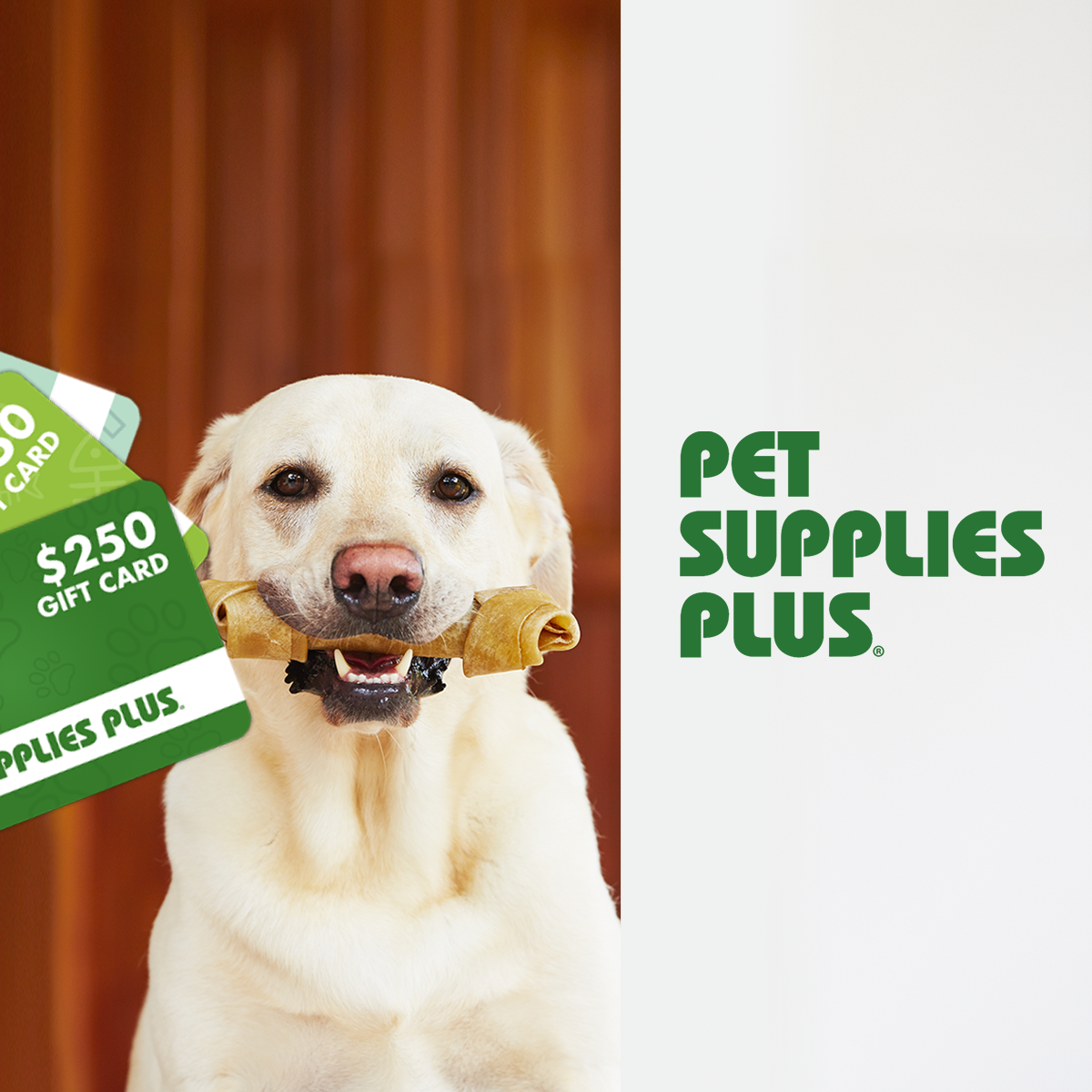 Pet Supplies Plus: We Love Our Neighbors!